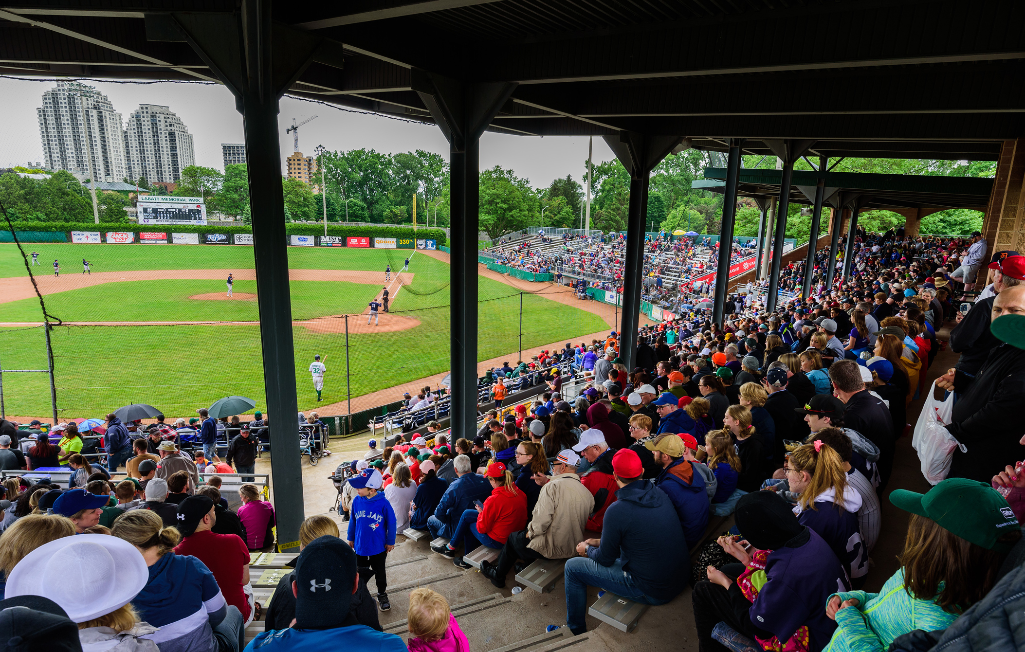 London Majors baseball